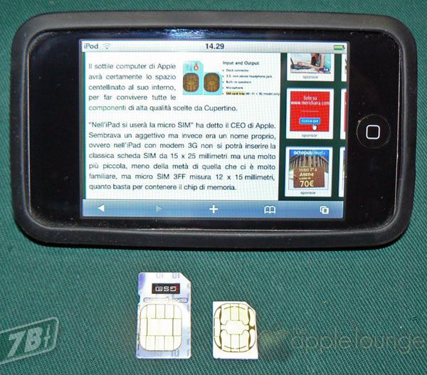 microsim09.jpg